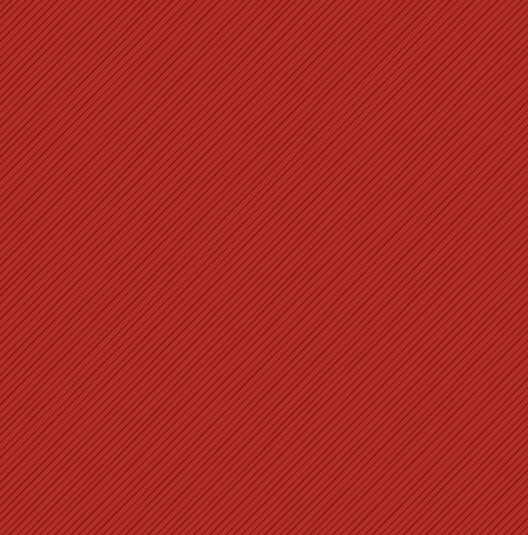 Chickens: Our Coops Chickens 12 x 12 Pattern Paper