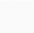 Chickens: Mama Hen and Chicks