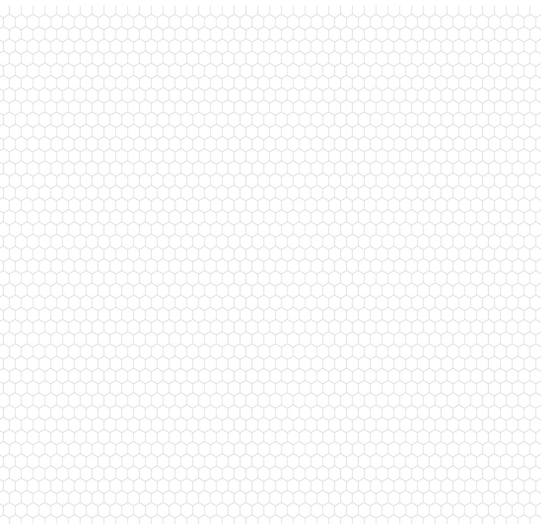 Chickens: Mama Hen and Chicks