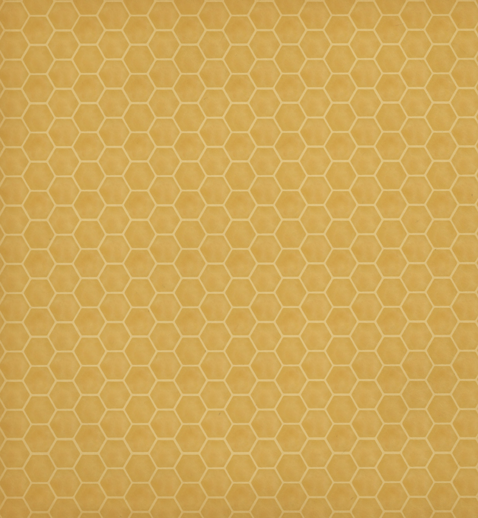 Honeybee